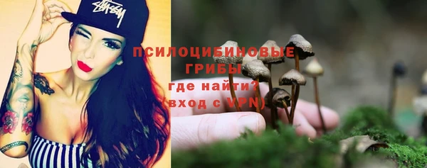 сатива Армянск