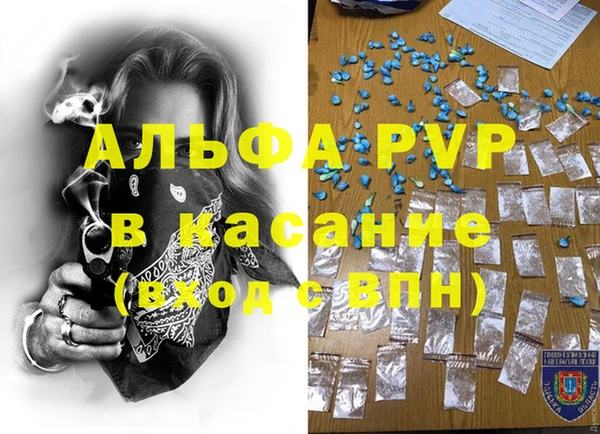 сатива Армянск