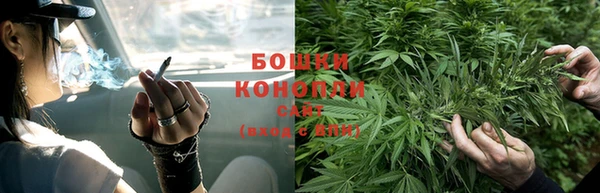 сатива Армянск